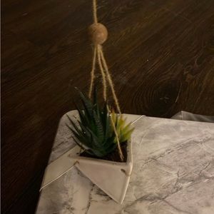 Fake succulent. Hanging decor. Like new